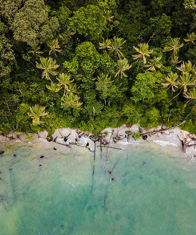 aerial view of a beach